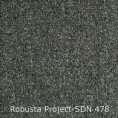 /products/robusta-project-sdn-478/